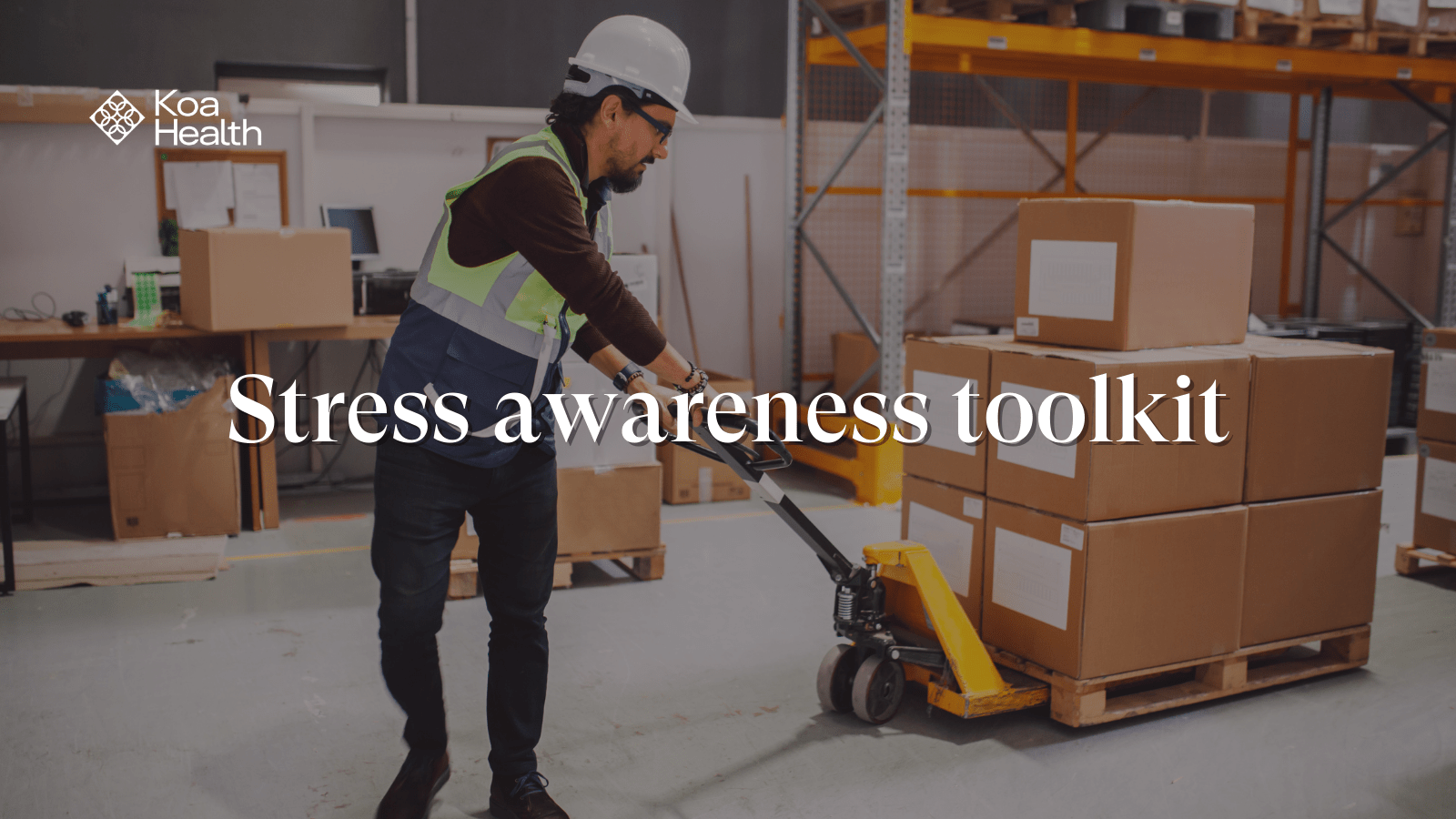 Stress Toolkit - Best Mountain Arts in HD